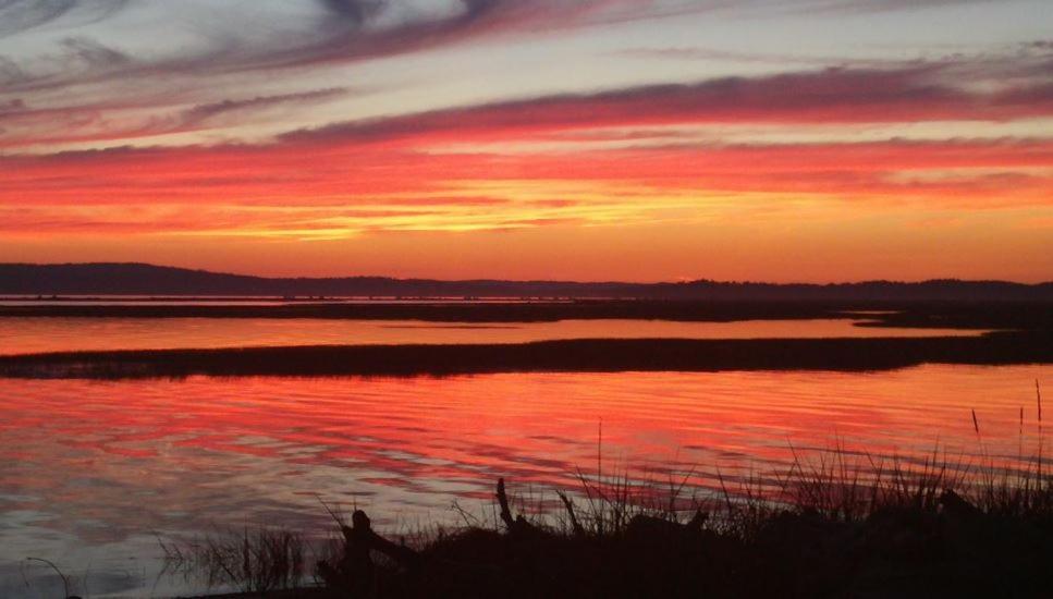 Warm Beach Hideaway With Private Beach! Stanwood Екстериор снимка